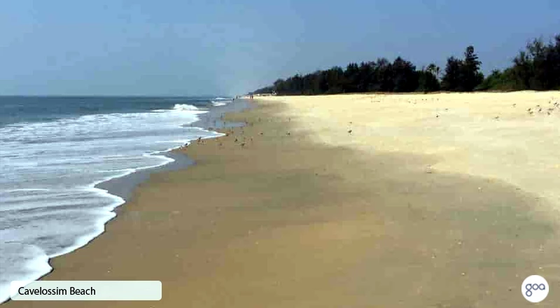 cavelossim beach